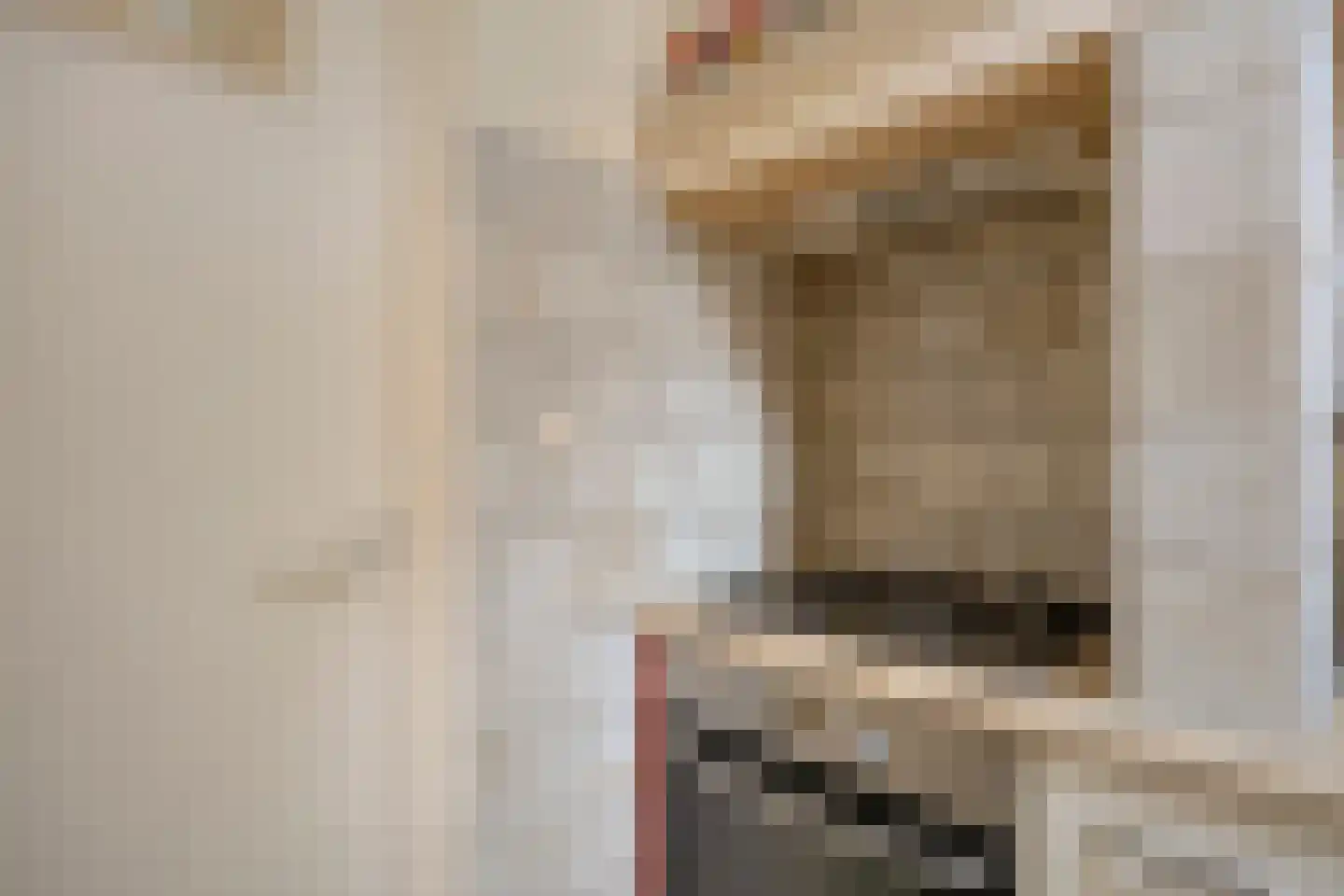 Suezkade 4 Den Haag thumbnail 14