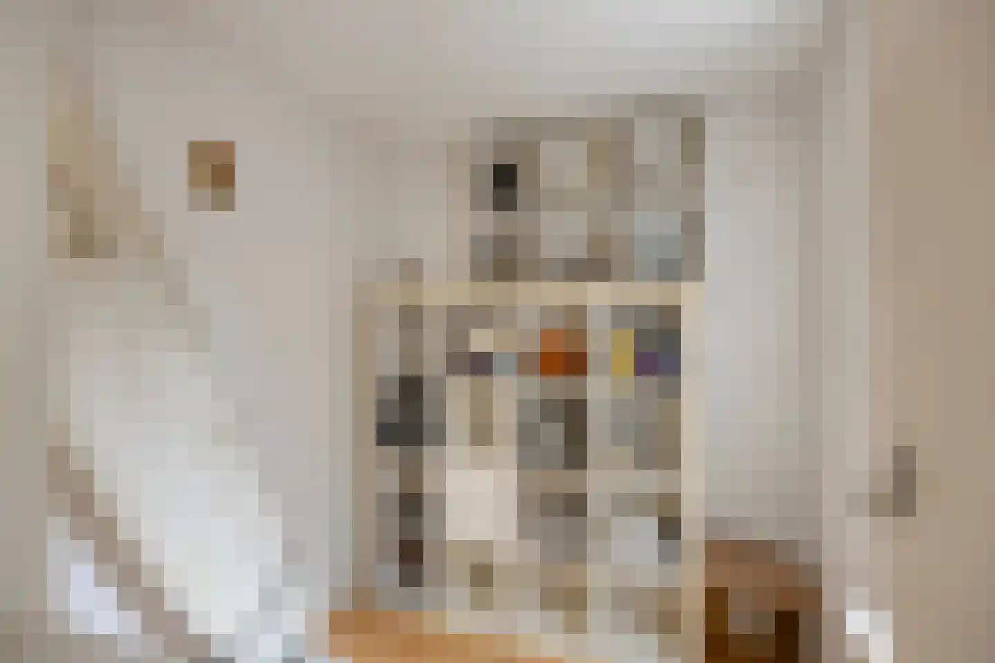 Suezkade 4 Den Haag thumbnail 16