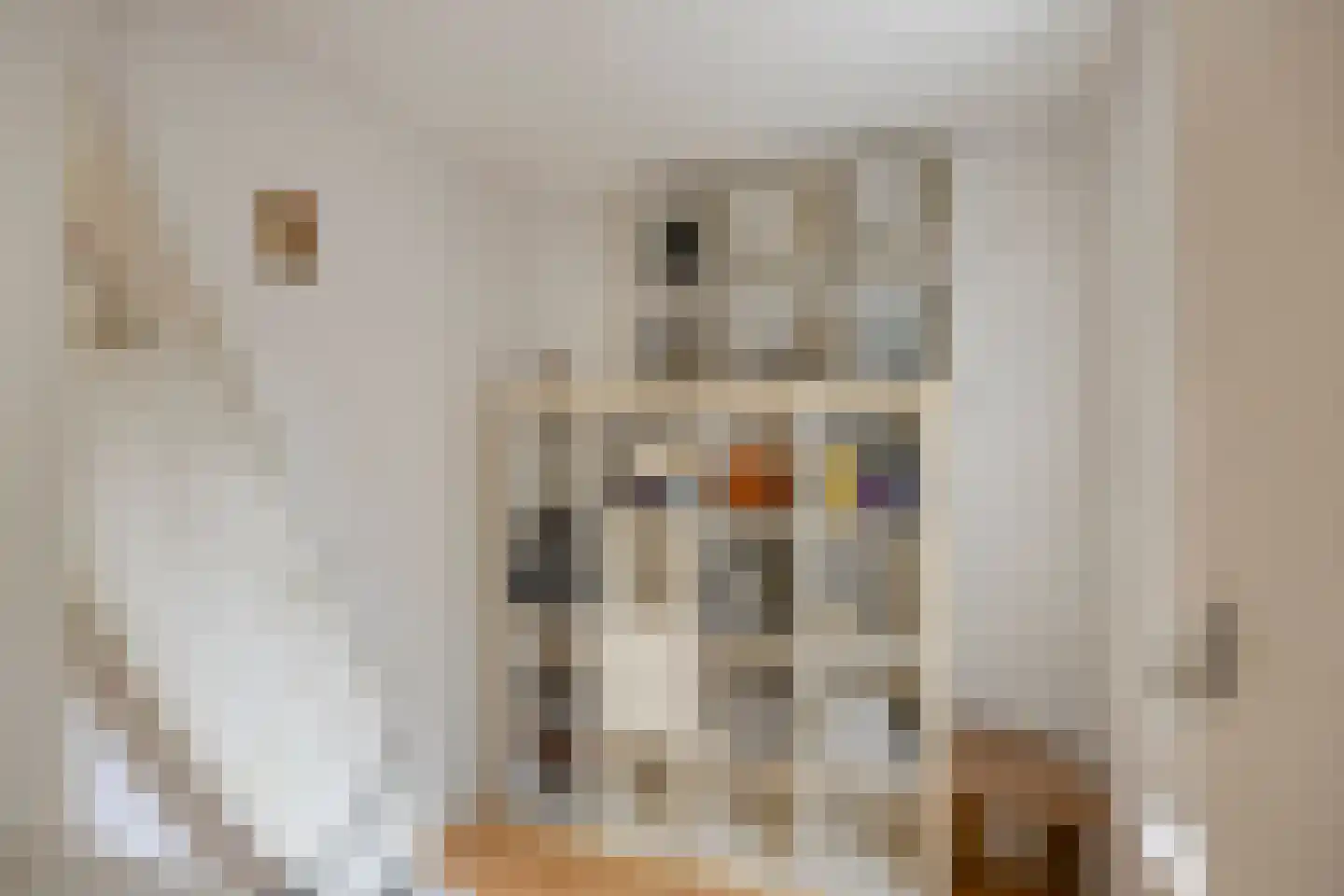 Suezkade 4 Den Haag thumbnail 16