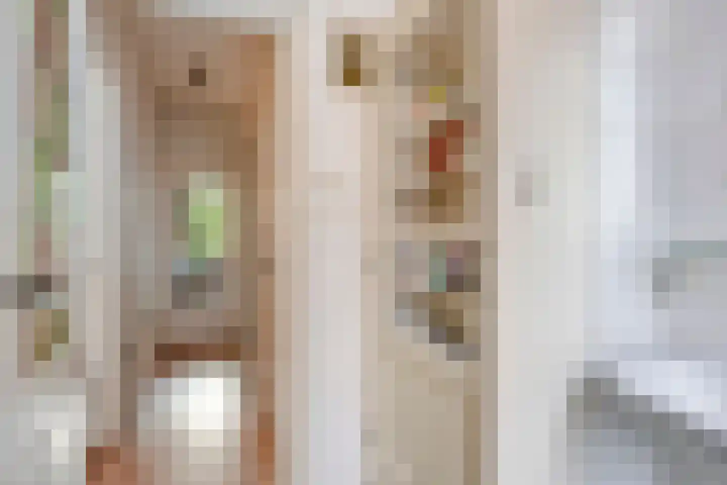 Suezkade 4 Den Haag thumbnail 36