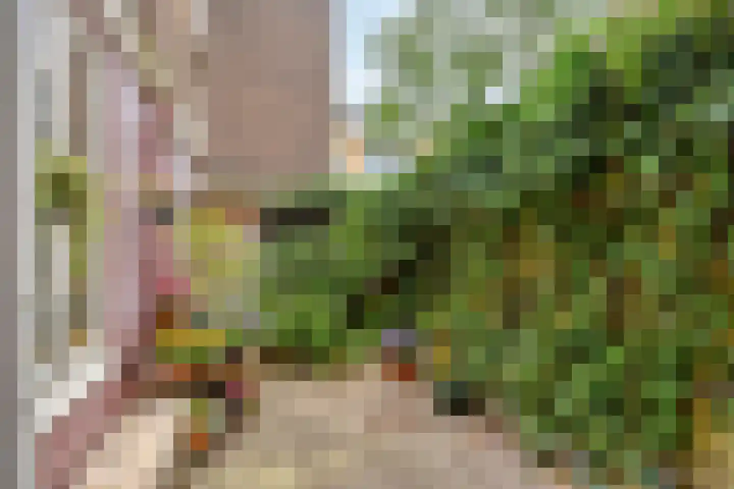 Suezkade 4 Den Haag thumbnail 9