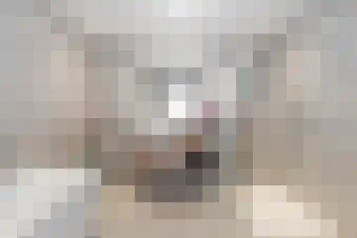 Suezkade 53 A Den Haag thumbnail 16