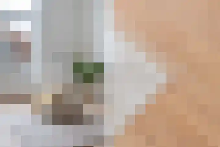Suezkade 53 A Den Haag thumbnail 6