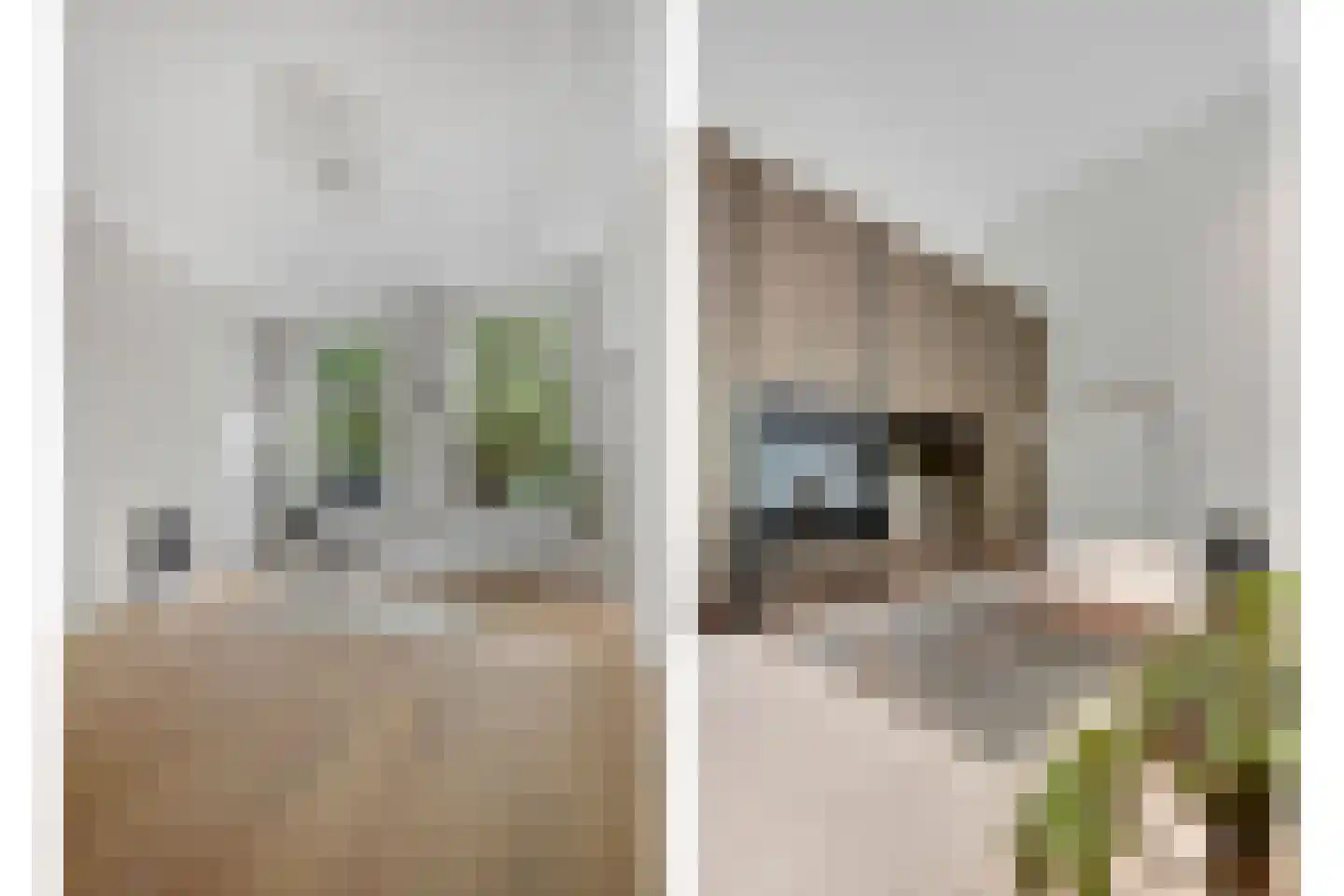 Suezkade 53 Den Haag thumbnail 11