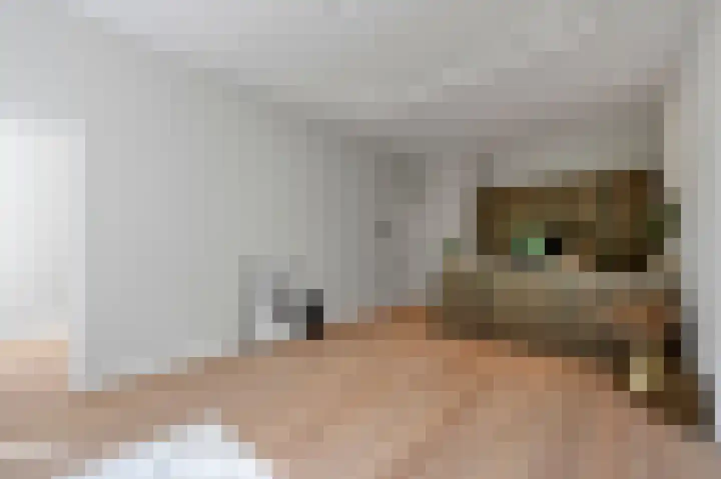 Suezkade 53 Den Haag thumbnail 5