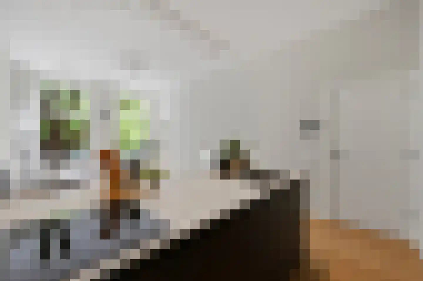 Suezkade 53 Den Haag thumbnail 8