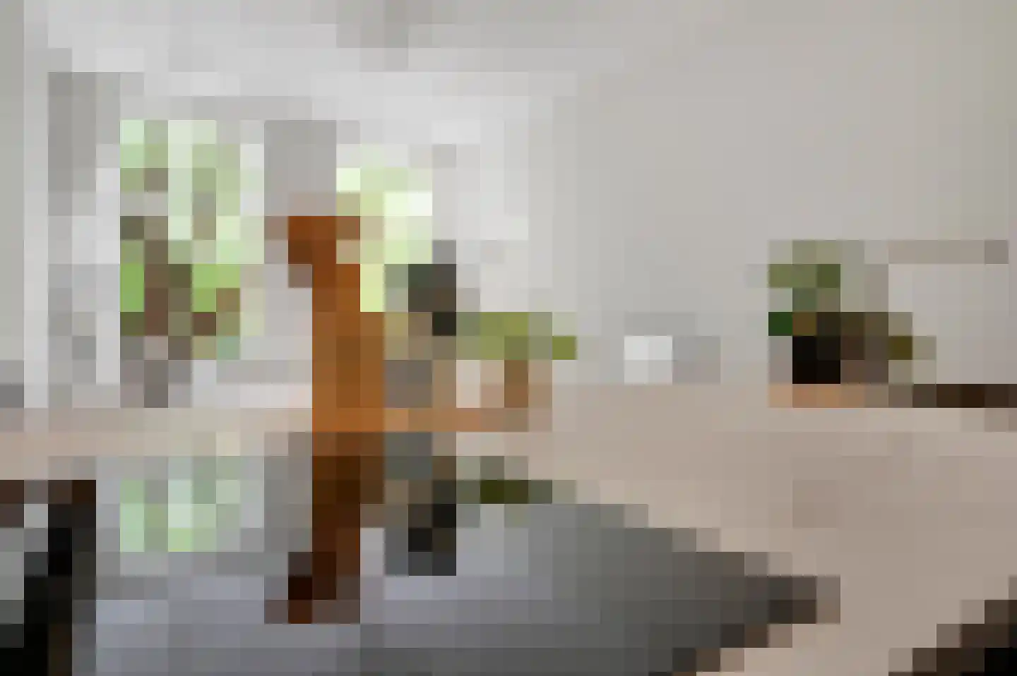 Suezkade 53 Den Haag thumbnail 9