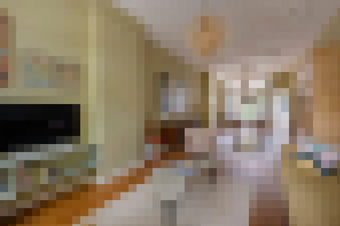 Suezkade 69 Den Haag thumbnail 10