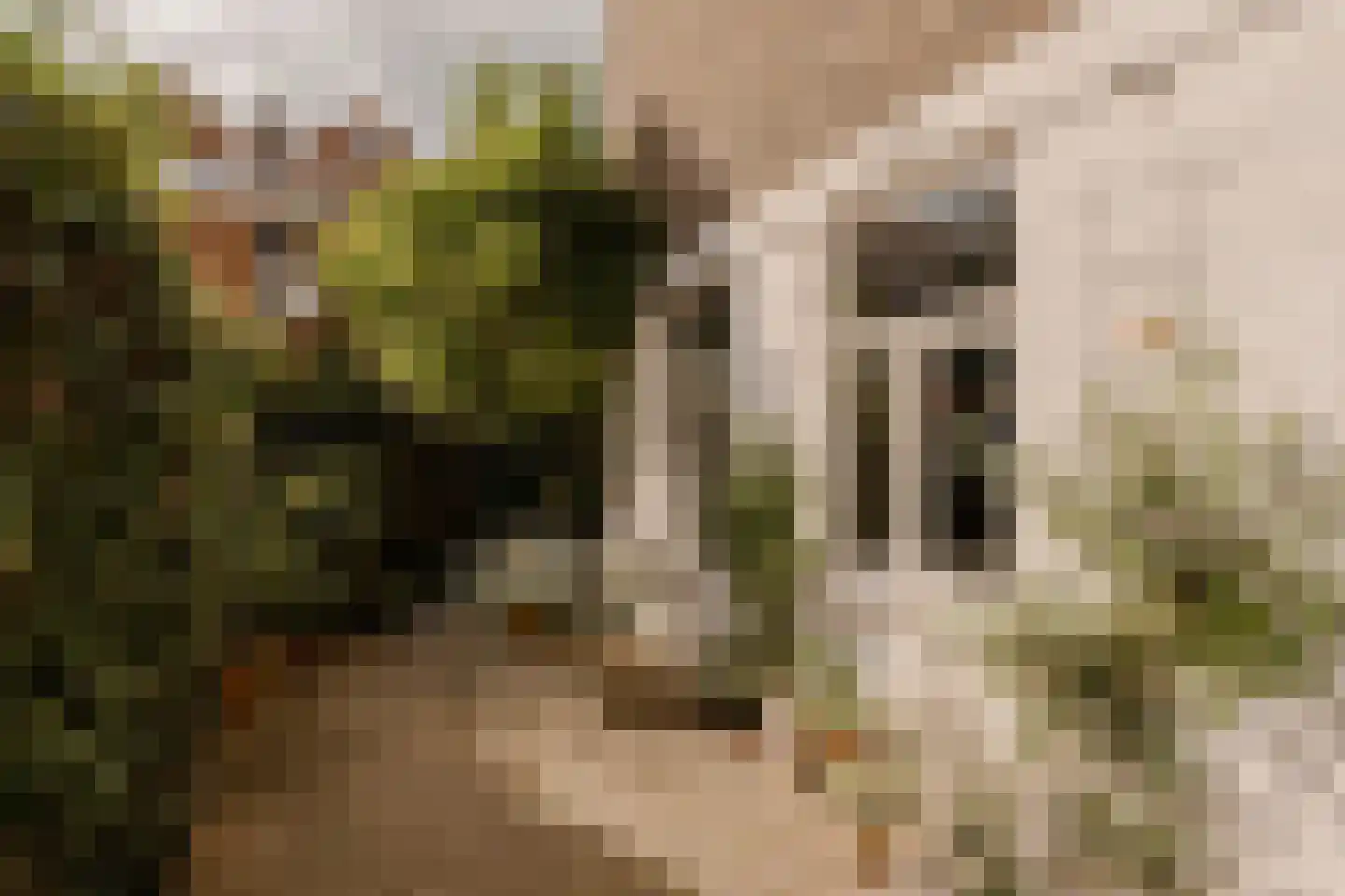 Suezkade 69 Den Haag thumbnail 25