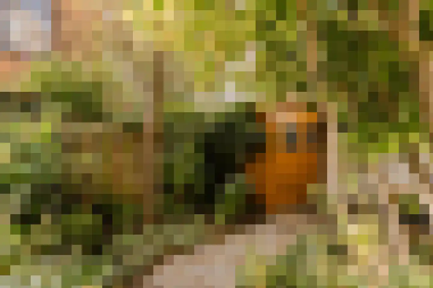 Suezkade 69 Den Haag thumbnail 27