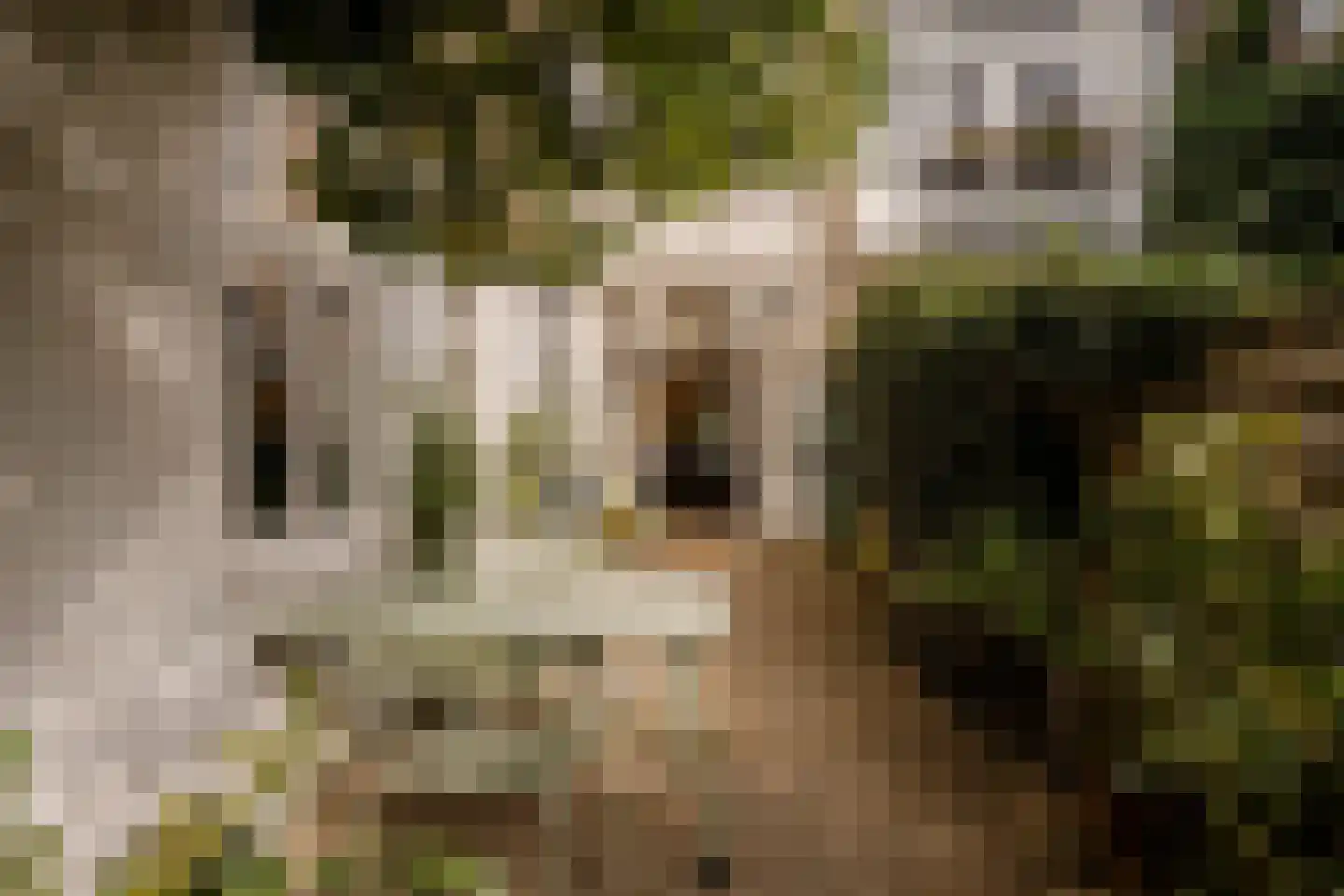 Suezkade 69 Den Haag thumbnail 28