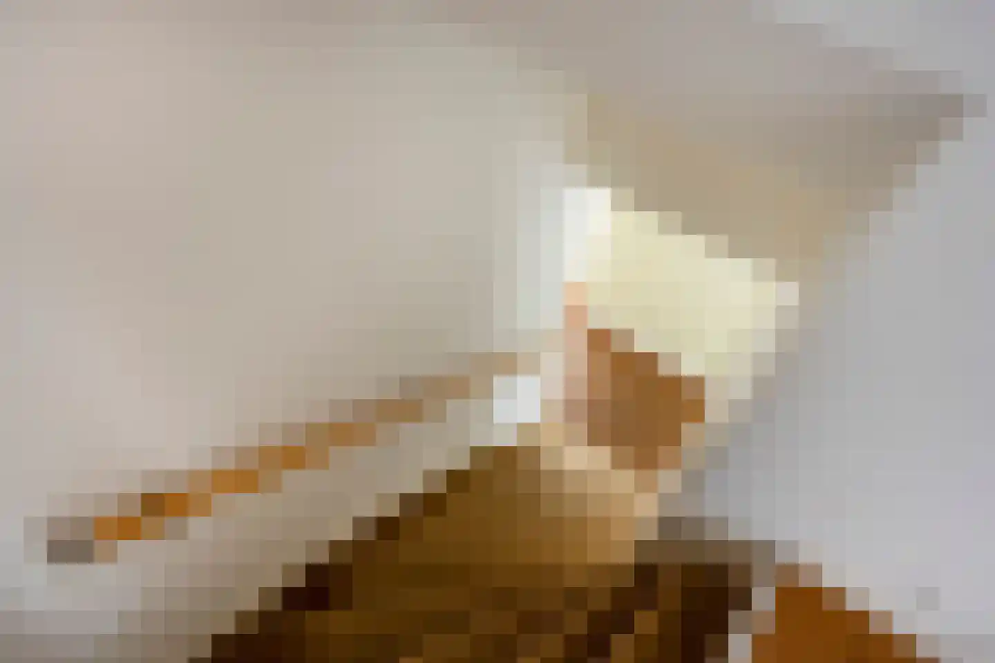 Suezkade 69 Den Haag thumbnail 38
