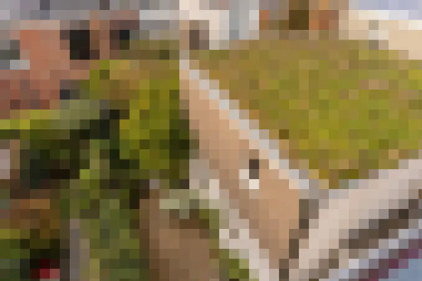 Suezkade 69 Den Haag thumbnail 45