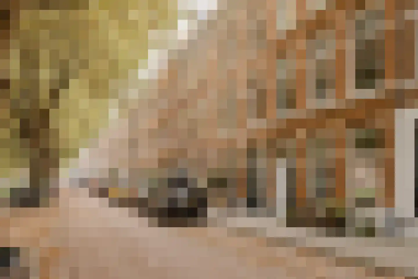 Suezkade 69 Den Haag thumbnail 46