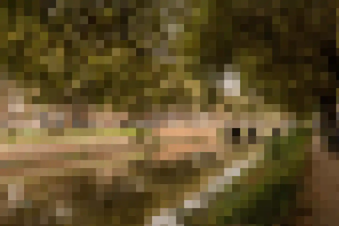Suezkade 69 Den Haag thumbnail 47