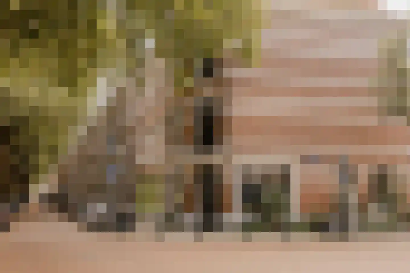 Suezkade 69 Den Haag thumbnail 48