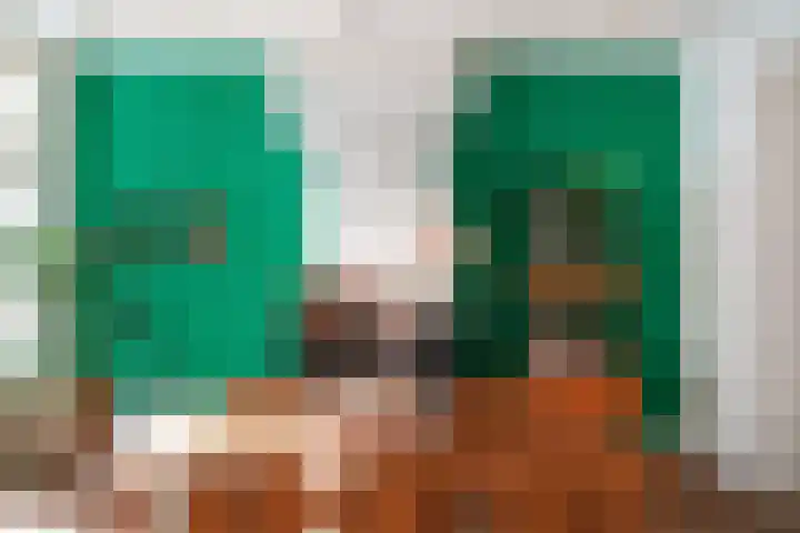 Suezkade 72 Den Haag thumbnail 10