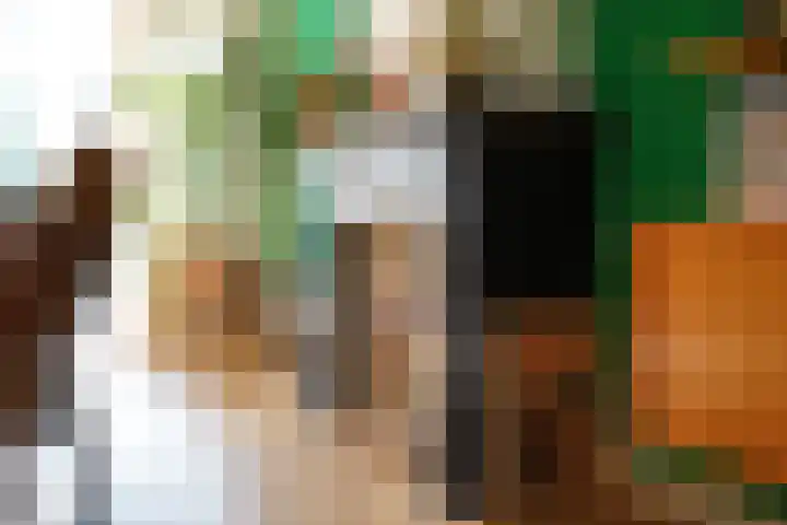 Suezkade 72 Den Haag thumbnail 12