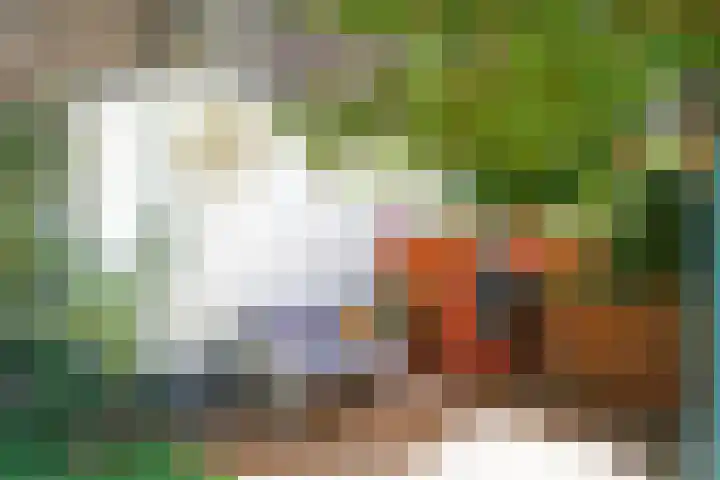 Suezkade 72 Den Haag thumbnail 20