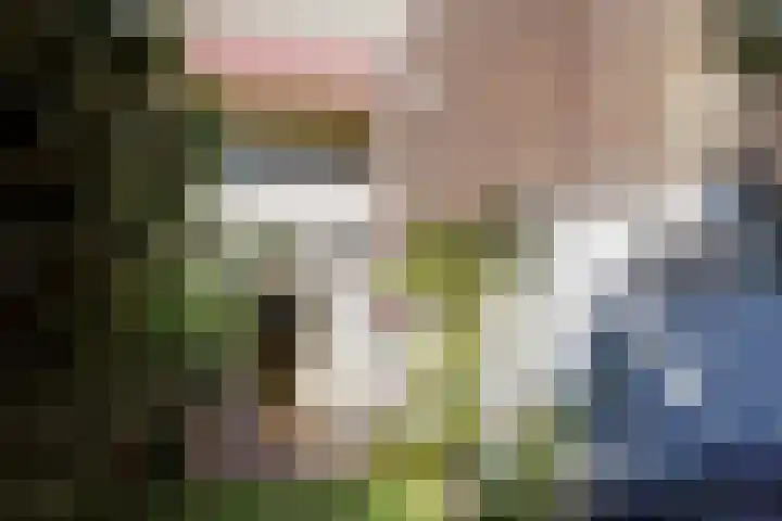 Suezkade 72 Den Haag thumbnail 21