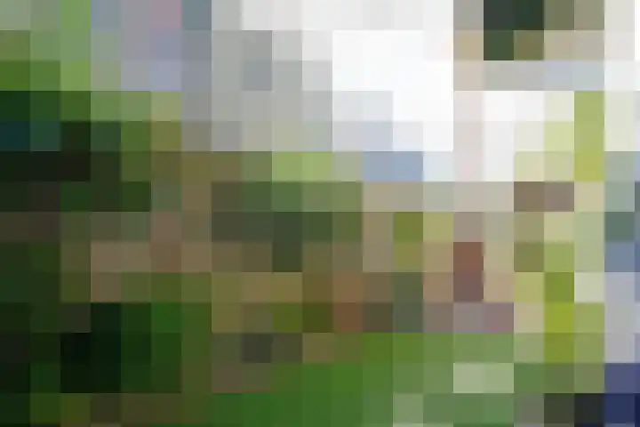 Suezkade 72 Den Haag thumbnail 22