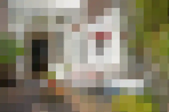 Suezkade 72 Den Haag thumbnail 23