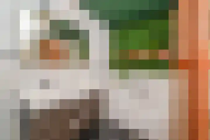 Suezkade 72 Den Haag thumbnail 28