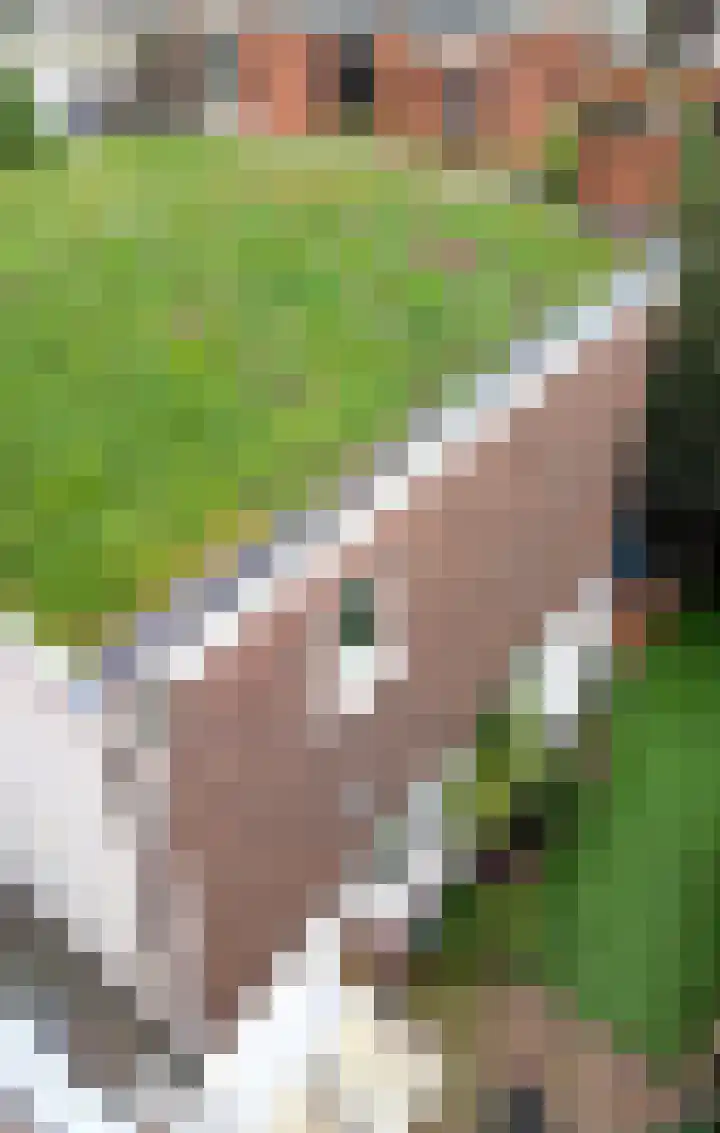 Suezkade 72 Den Haag thumbnail 42