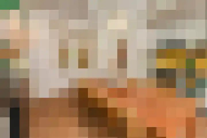 Suezkade 72 Den Haag thumbnail 8
