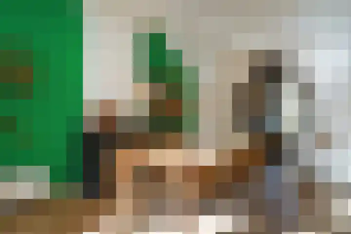 Suezkade 72 Den Haag thumbnail 9