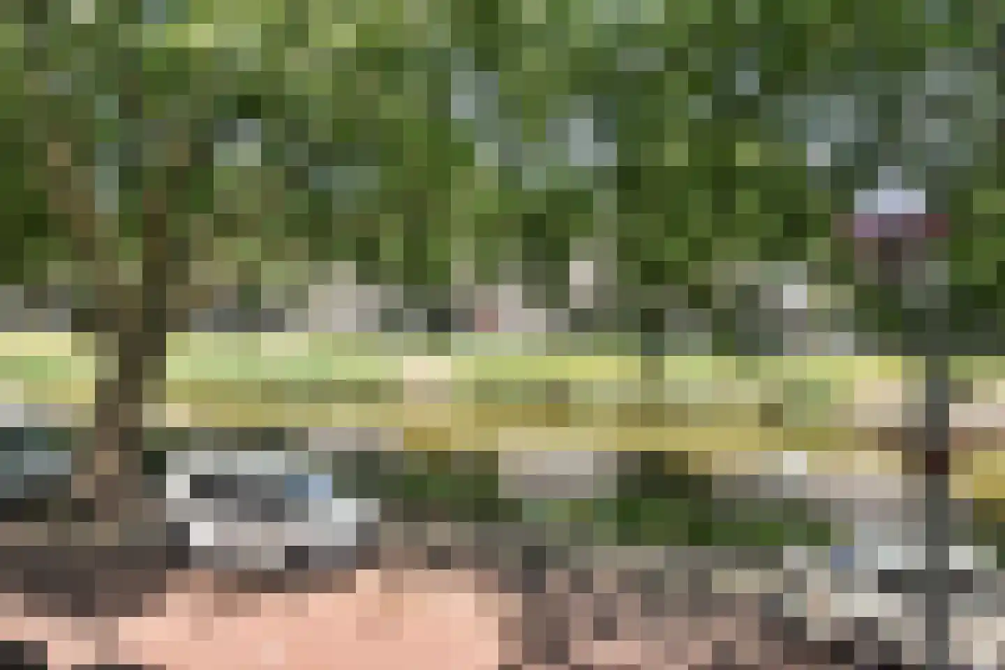 Suezkade 75 Den Haag thumbnail 19