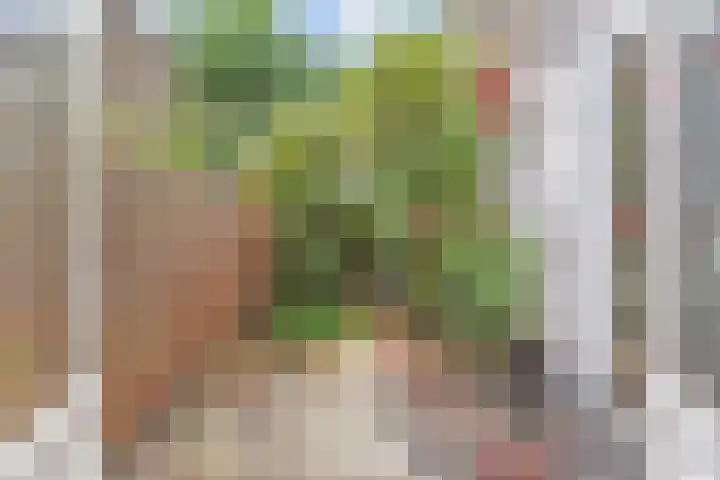 Suezkade 85 Den Haag thumbnail 13