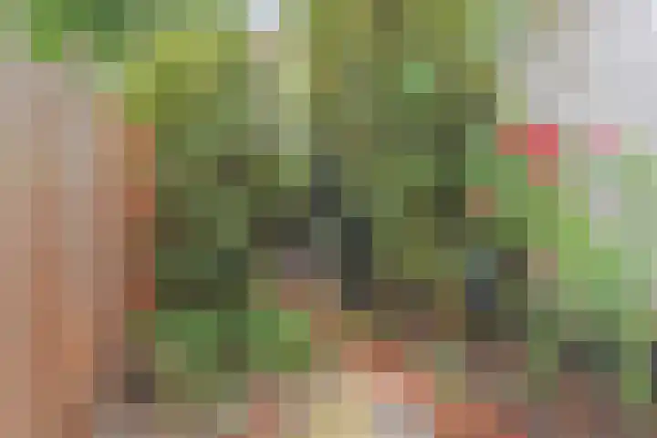 Suezkade 85 Den Haag thumbnail 14