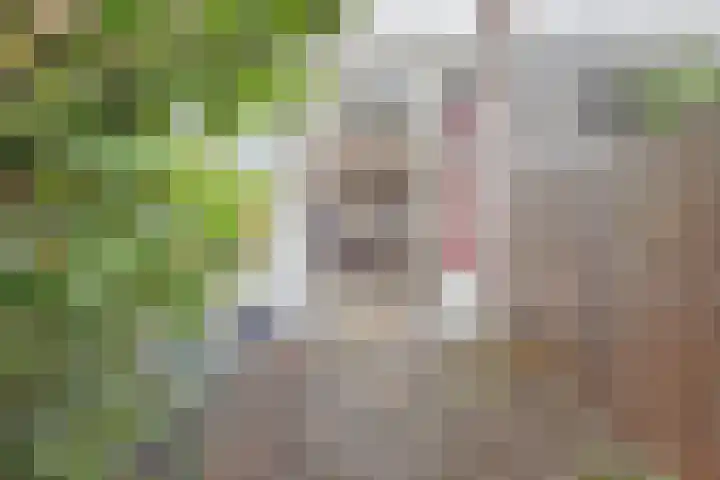 Suezkade 85 Den Haag thumbnail 16
