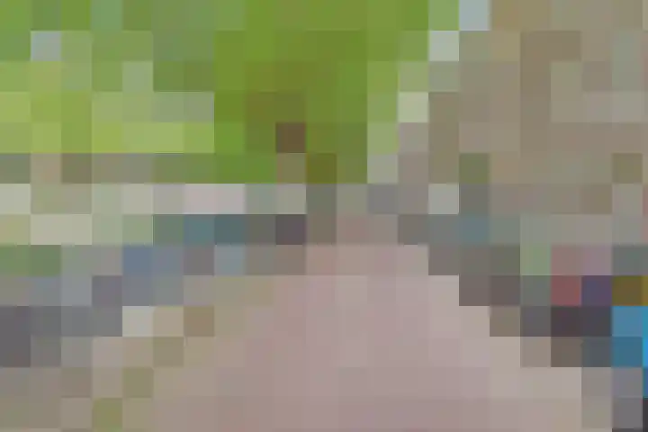 Suezkade 85 Den Haag thumbnail 35