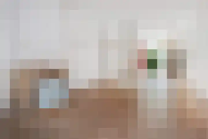 Suezkade 85 Den Haag thumbnail 9