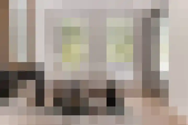 Suezkade 87 Den Haag thumbnail 10