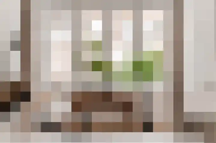 Suezkade 87 Den Haag thumbnail 28
