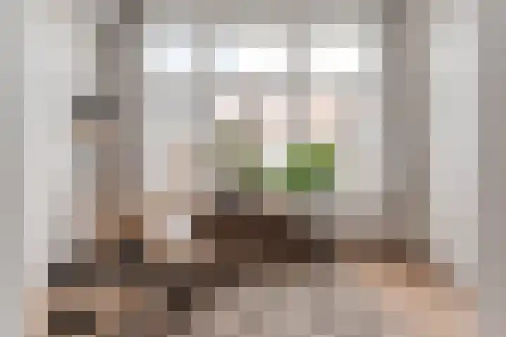 Suezkade 87 Den Haag thumbnail 30