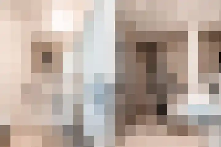Suezkade 87 Den Haag thumbnail 33
