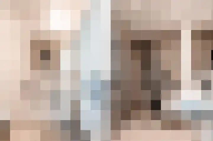 Suezkade 87 Den Haag thumbnail 4