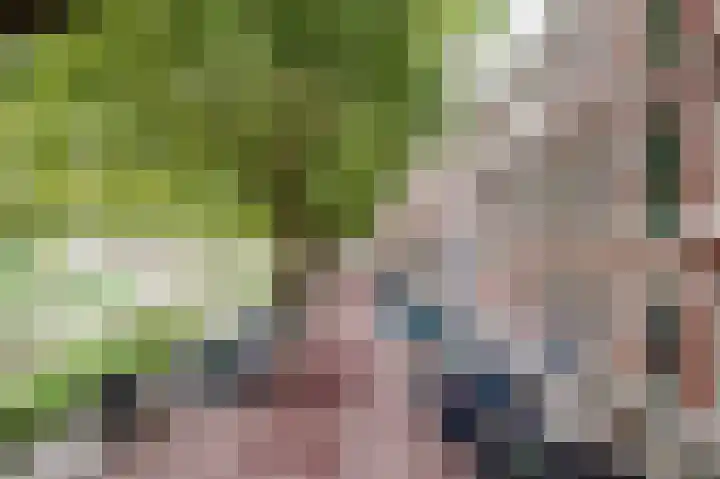 Suezkade 87 Den Haag thumbnail 6