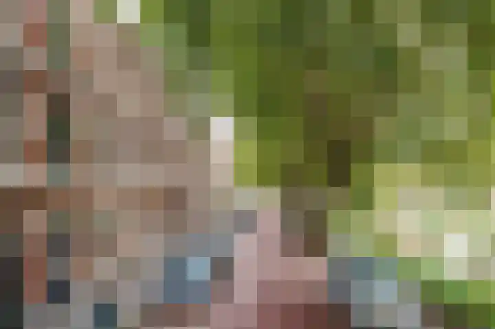 Suezkade 87 Den Haag thumbnail 7