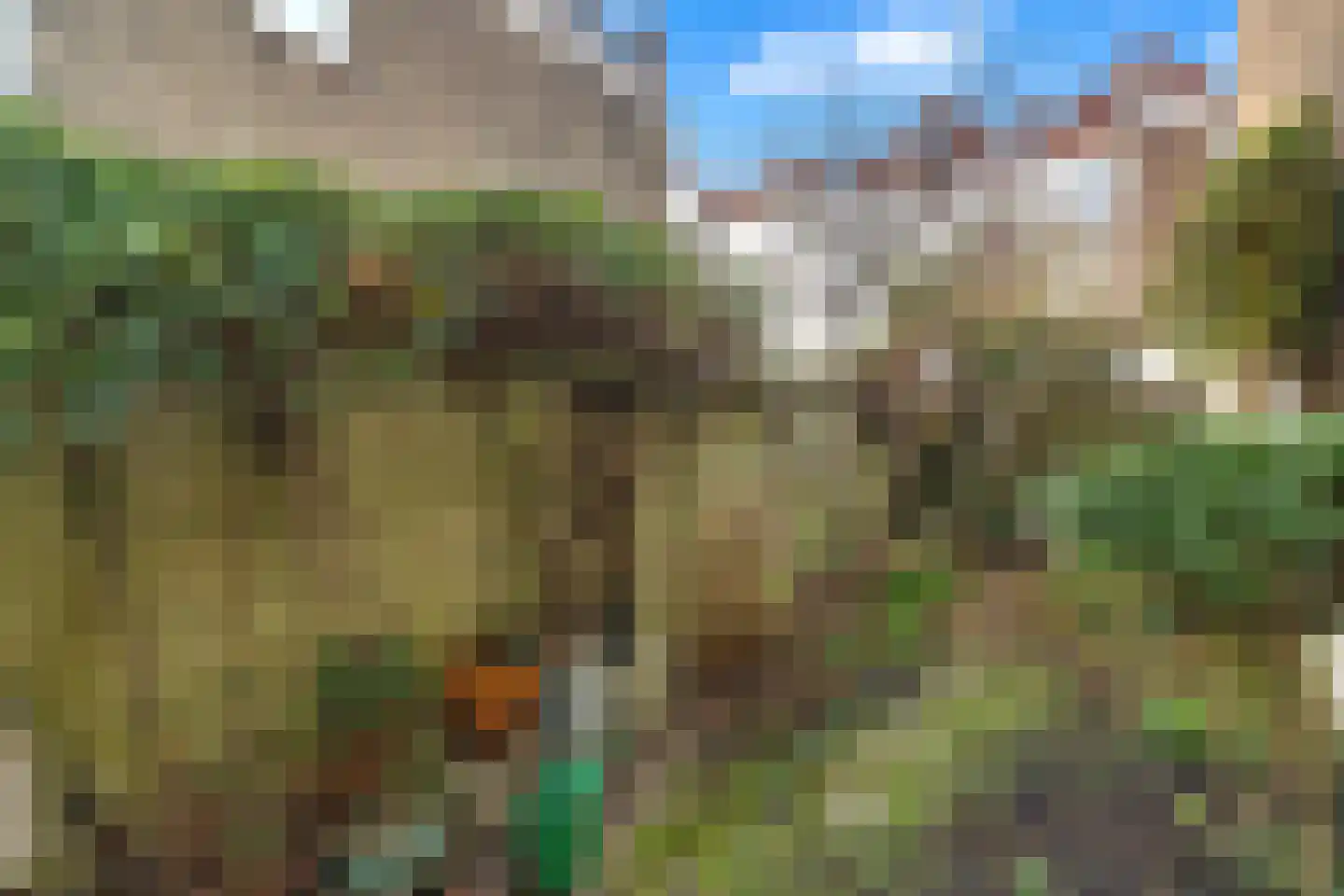 Suezkade 89 Den Haag thumbnail 13