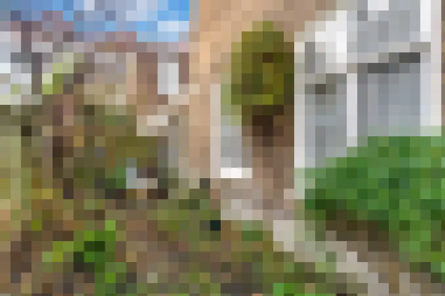 Suezkade 89 Den Haag thumbnail 4
