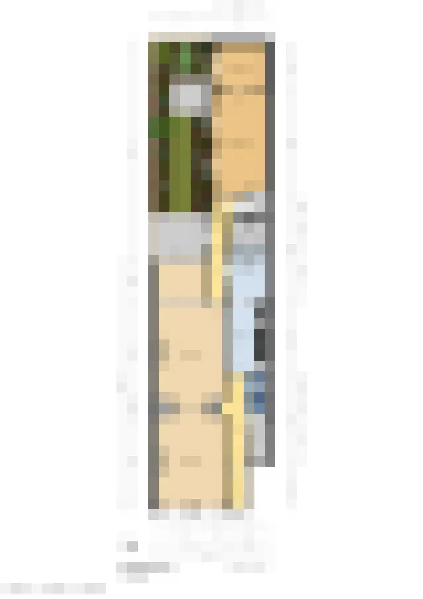 Suezkade 89 Den Haag thumbnail 7