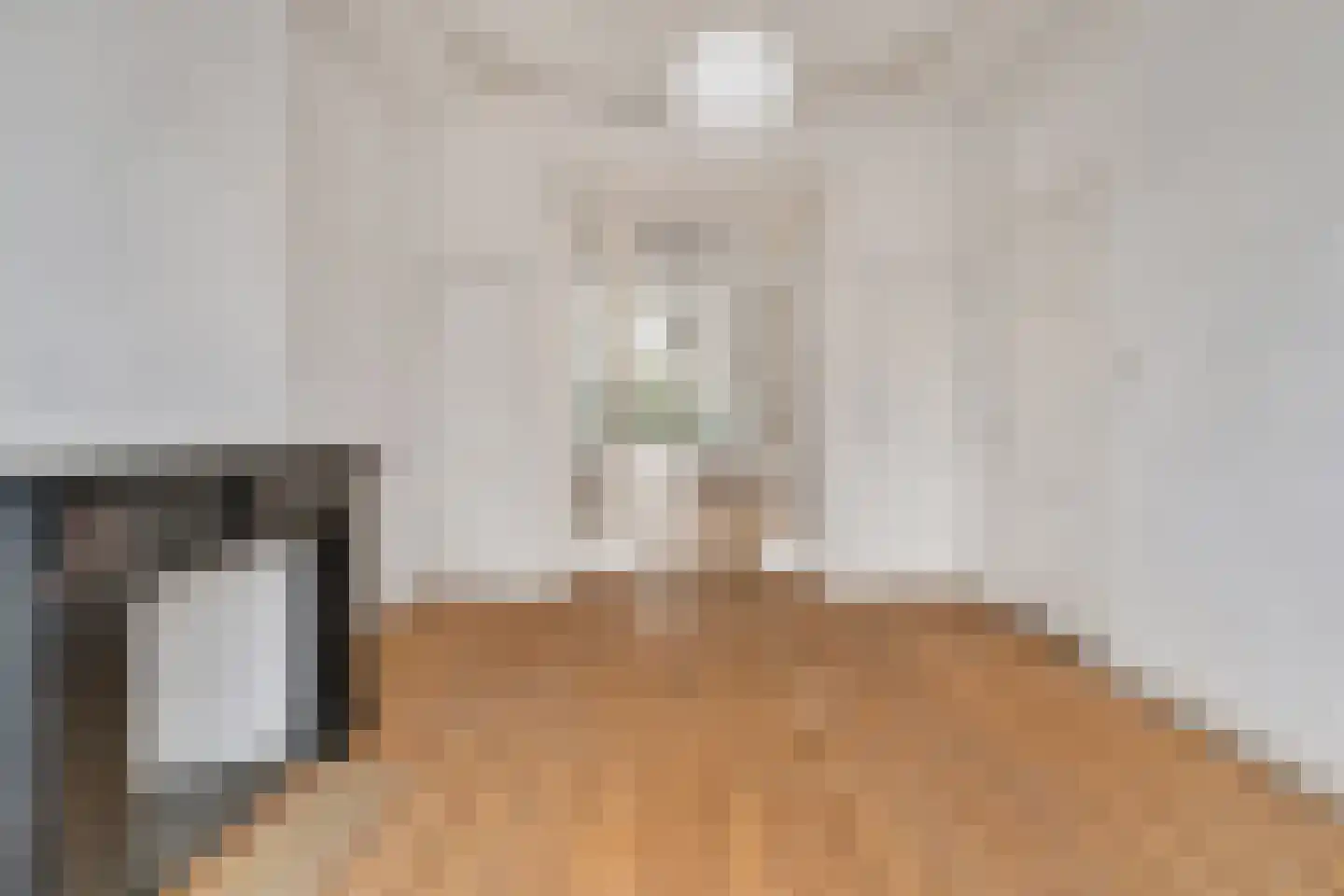 Suezkade 89 Den Haag thumbnail 9