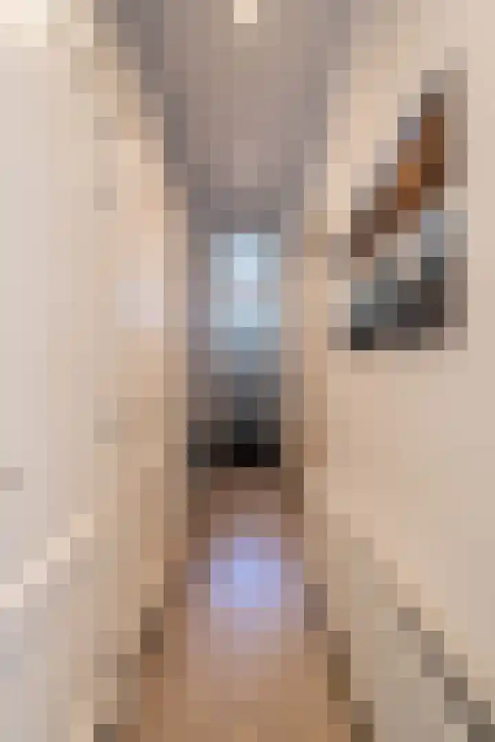Suezkade 93 Den Haag thumbnail 10