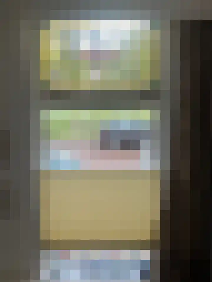 Suezkade 93 Den Haag thumbnail 14
