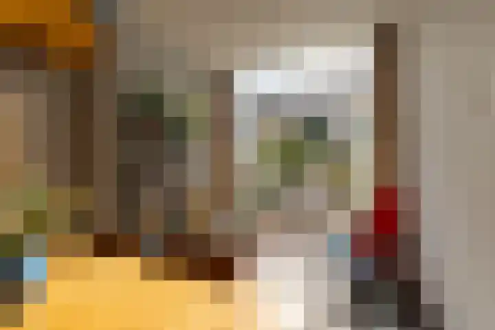 Suezkade 93 Den Haag thumbnail 21